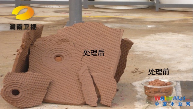 ˲hpÓˮ¼gaհ