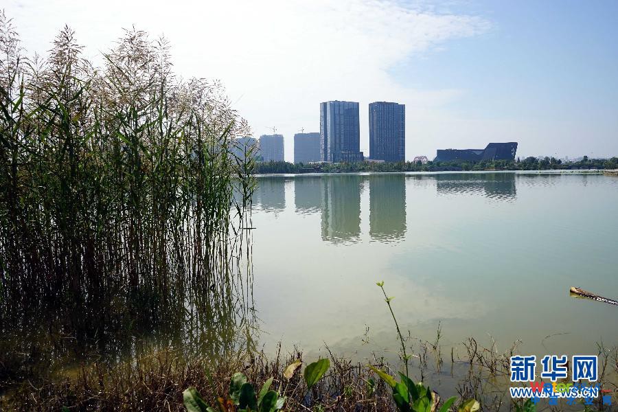 (圖文互動·新華全媒頭條·海綿城市)(6)明天,我們住什么樣的城市——聚焦海綿城市建設(shè)