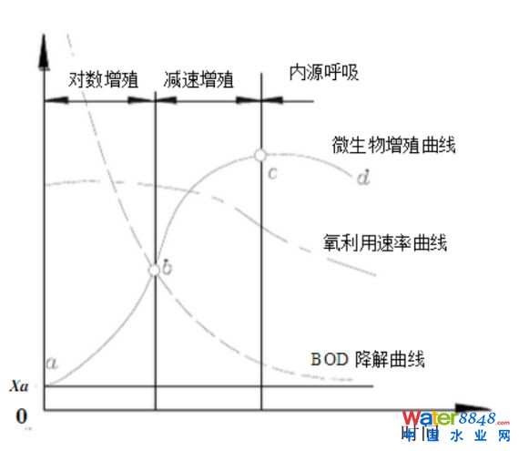 活性污泥的性能指標是什么?污泥膨脹有幾種?活性污泥法運行關注點是什么?