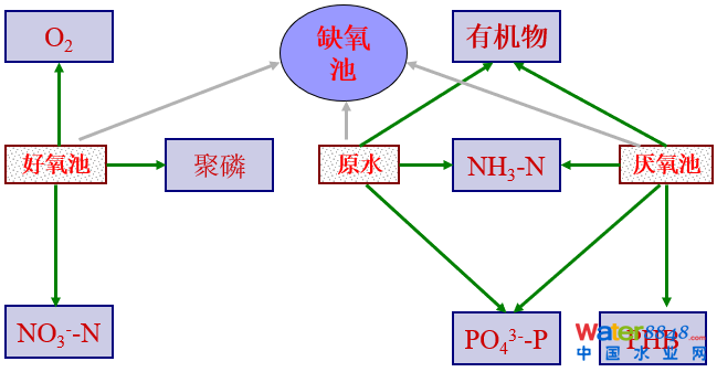從幾個常見現象談污水處理廠設計和運行的精細化問題