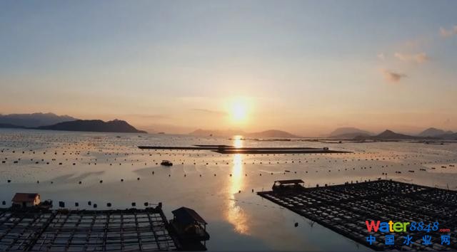 廣西衛(wèi)視對(duì)話中國工程院院士高從堦:廣西海洋經(jīng)濟(jì)大有可為
